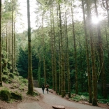 A couple walking through a forest