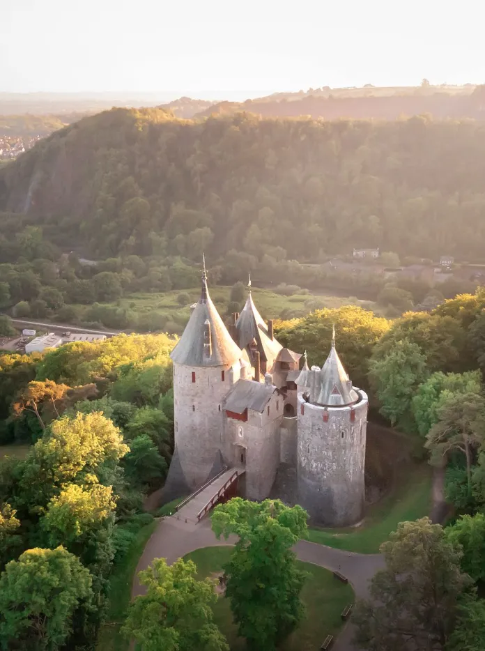 A castle surrounded by trees.