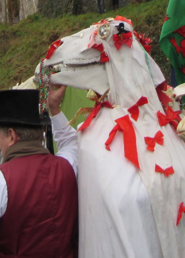 Group of mari lwyds with people.