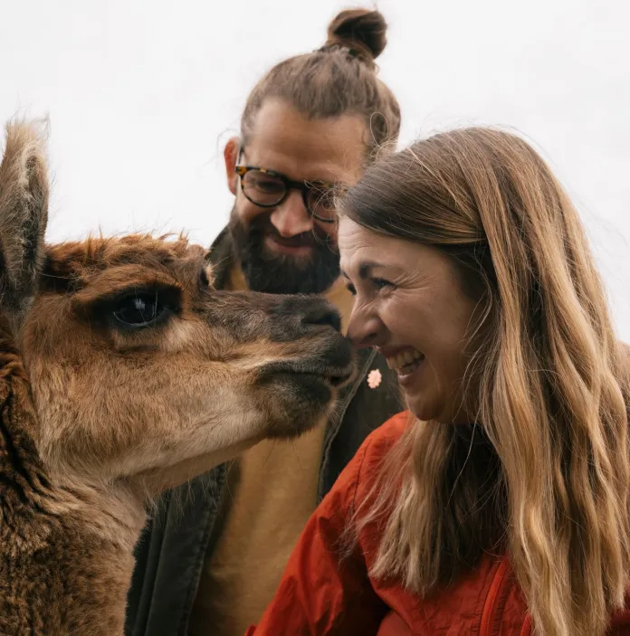Two people with an Alpaca.