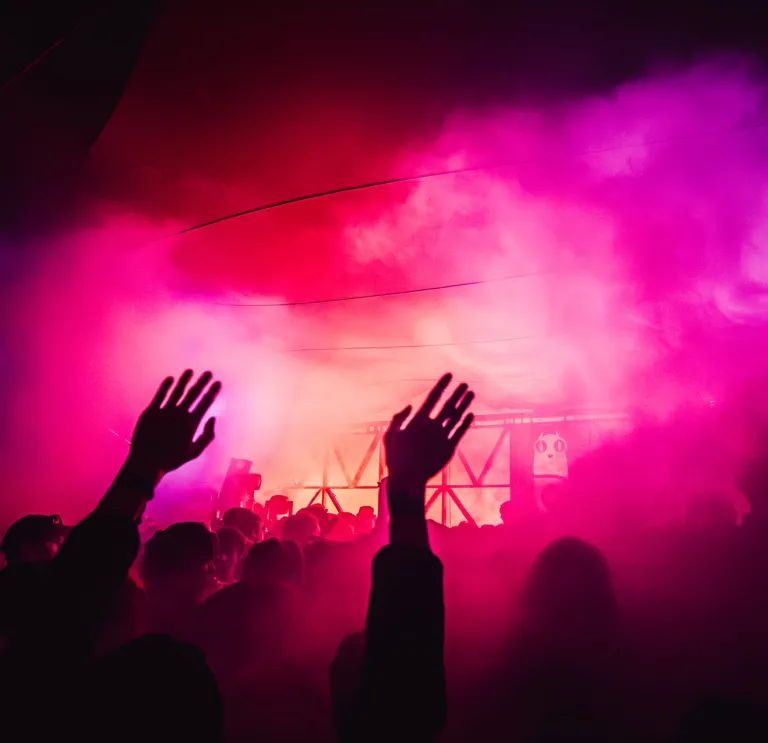 Hands in the air at a concert.