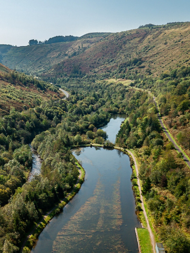 Drone shot of a lake surrounded by green forested mountains