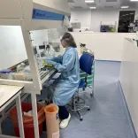 A lab technician at work.