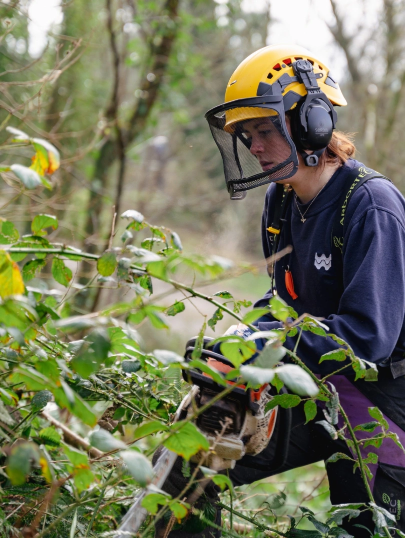 A person wearing a yellow helmet handles wood with a saw.