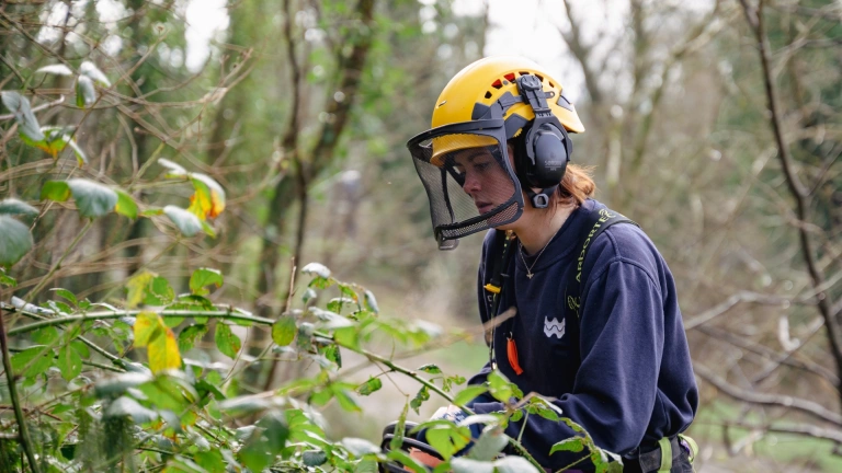 A person wearing a yellow helmet handles wood with a saw.