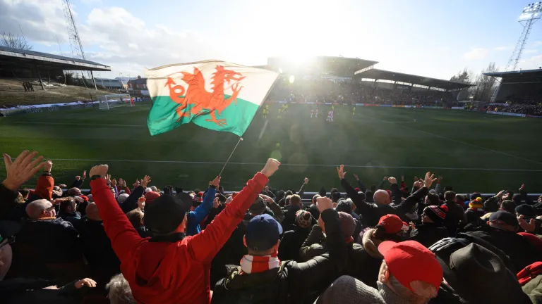 A crowd of people cheering at a football match, with a Welsh flag flying amidst them in the stadium seating