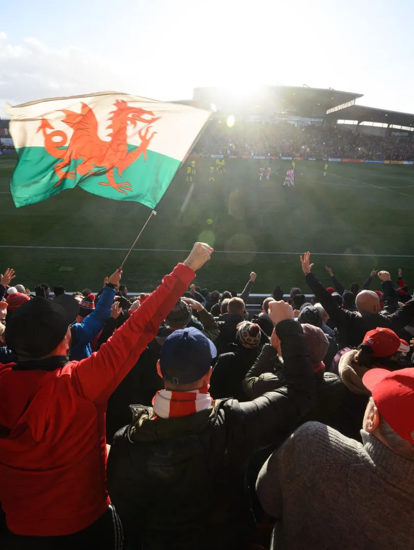 A crowd of people cheering at a football match, with a Welsh flag flying amidst them in the stadium seating