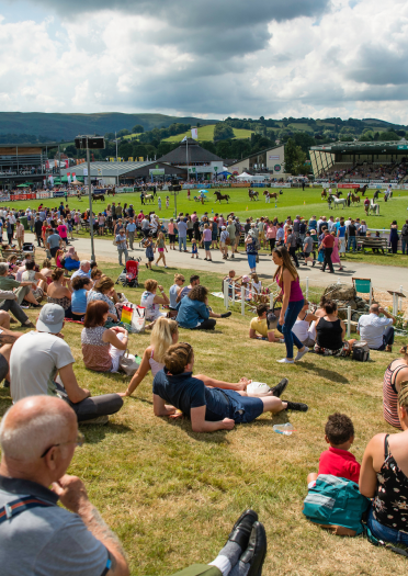 people sat in field looking towards showground with animal display in the background