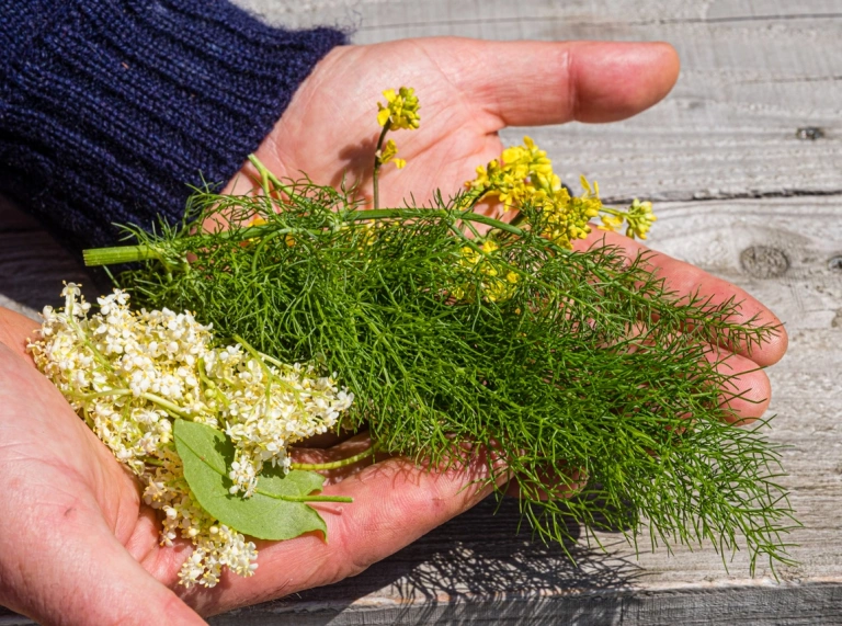 Man holding forgaged food.