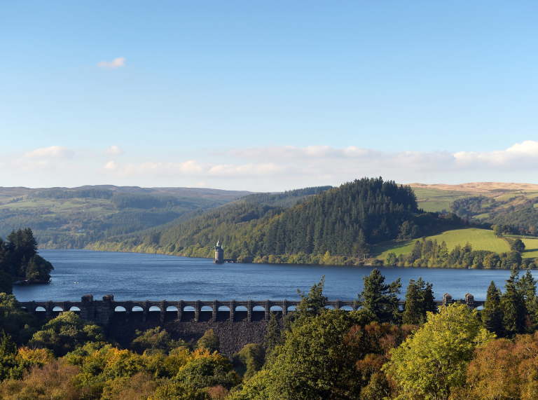 View overlooking Lake Vyrnwy