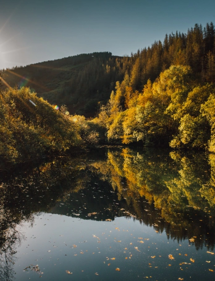 View across the water at the Dyfi Biosphere, Mid Wales