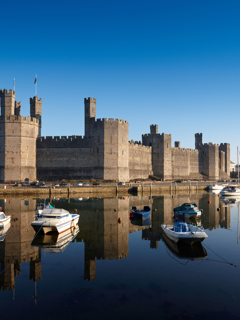 view of water, boats and castle in background
