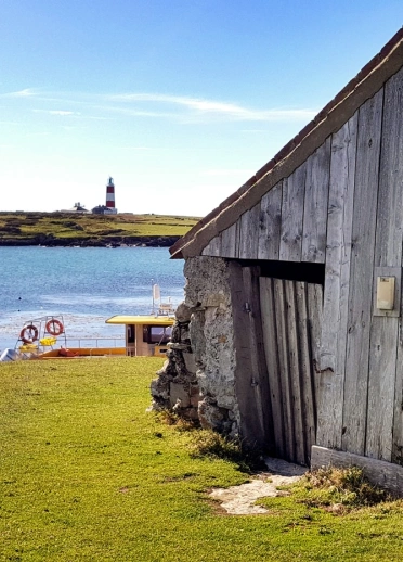 A wooden hut next to grass and the sea with lighthouse in background