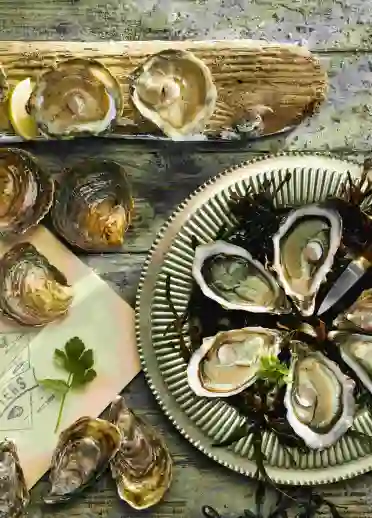 A plate of oysters.
