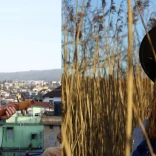 Man with small instrument and women in fields of hay 