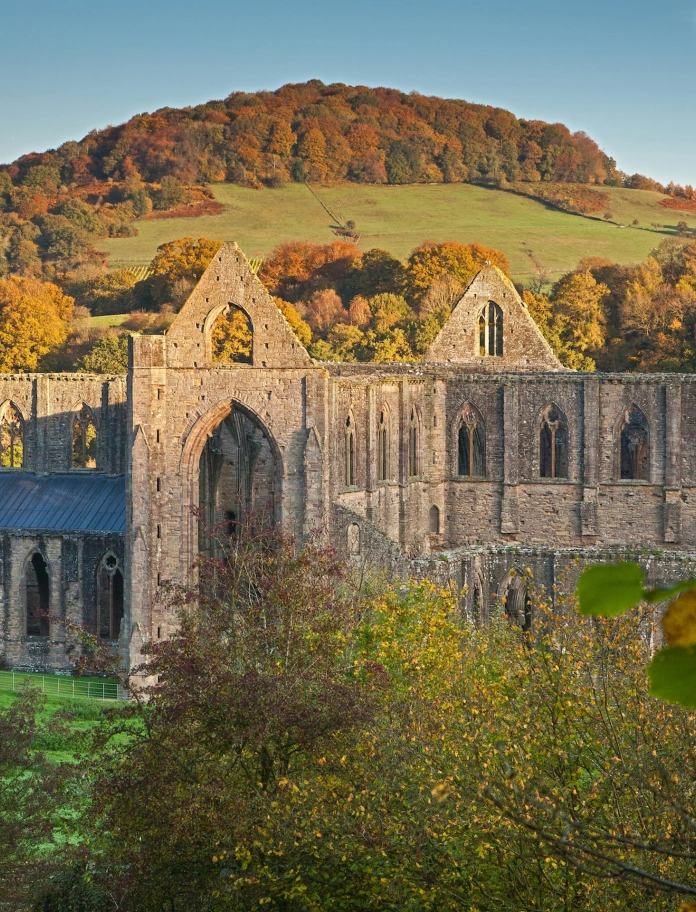 Tintern Abbey at dawn in autumn