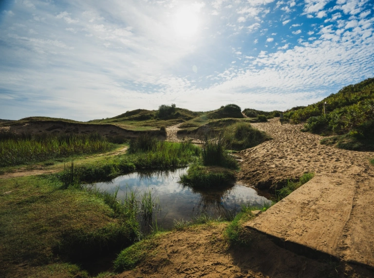A beautiful coastal marsh scene