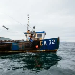 Fishing boat in Cardigan Bay