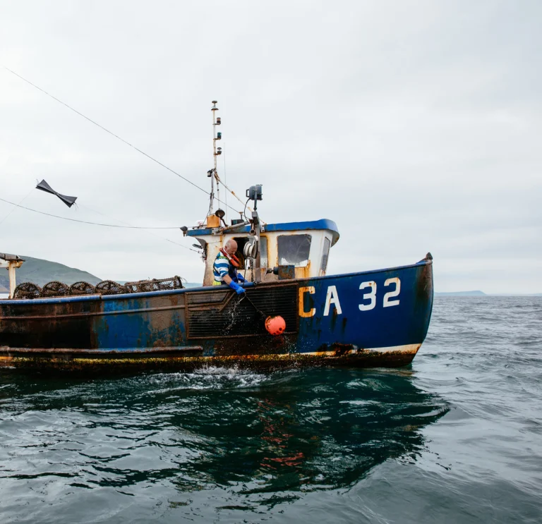 Bateau de pêche dans la baie de Cardigan