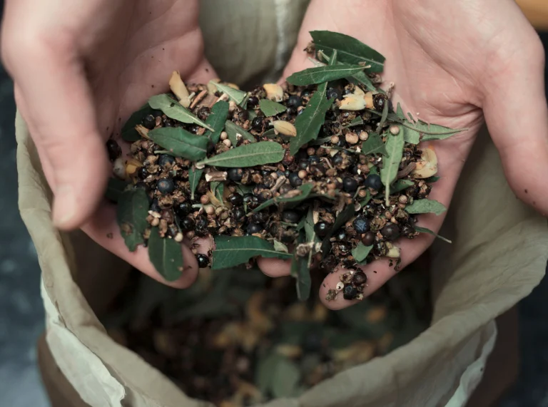 Sumpfmyrte und Wacholder frisch bezogen