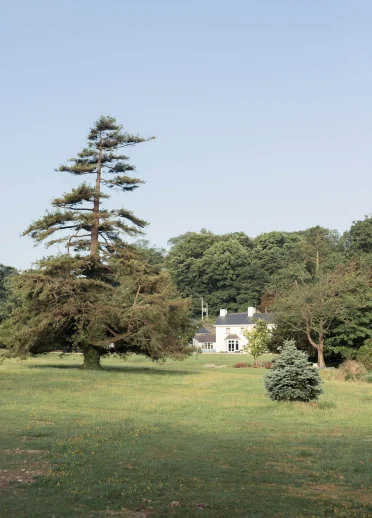 Exterior Ynyshir restaurante y habitaciones en día claro
