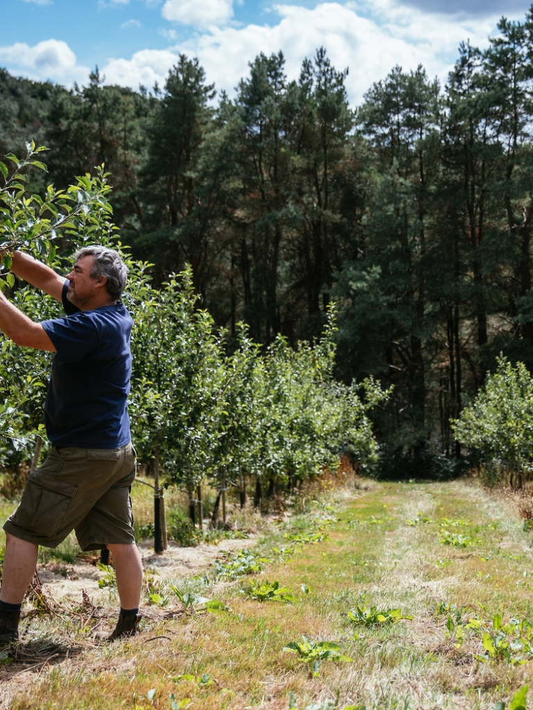  Andy Hallett y su hijo trabajando en los manzanos en Blaengawney Farm.